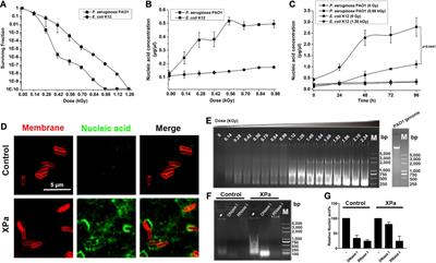 Proteomic Analysis of Vesicle-Producing <mark class="highlighted">Pseudomonas aeruginosa PAO1</mark> Exposed to X-Ray Irradiation